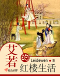 leidewen小说《艾若的红楼生活》